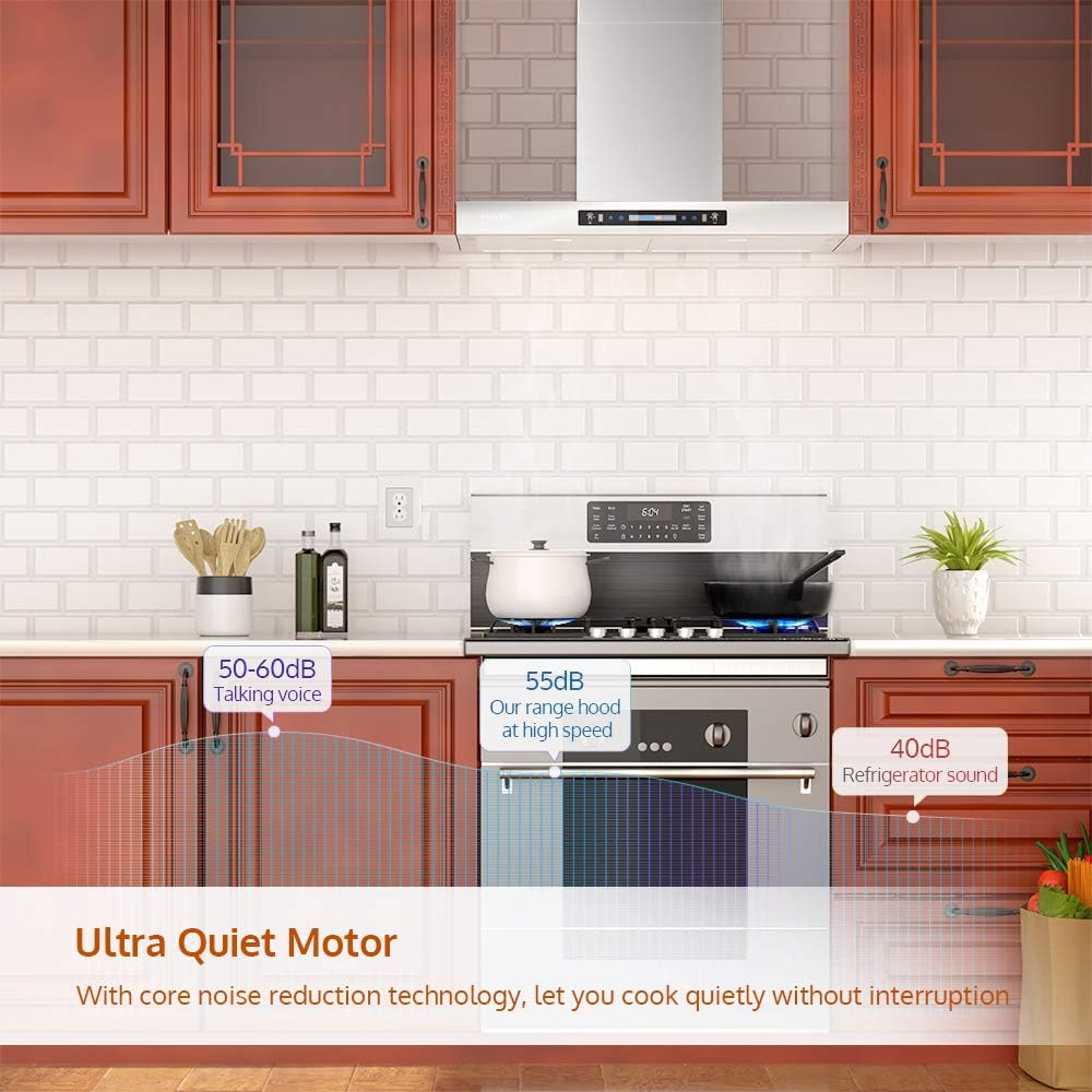 Ultra quiet motor